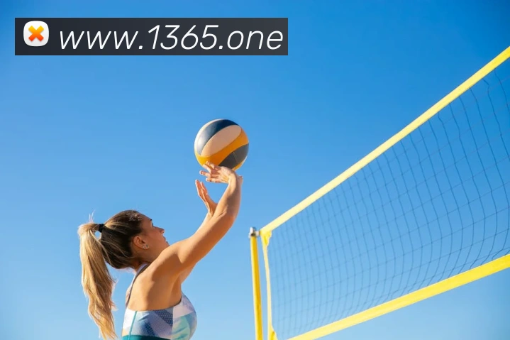 bet365中国官网登录入口APP 封面图